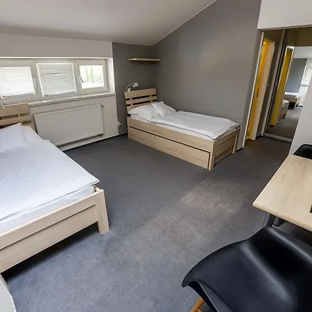 Guest house Hotel Lion
