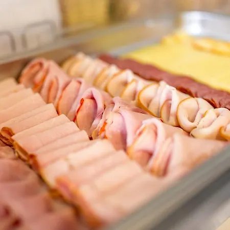 Lion Gæstehus Modřice